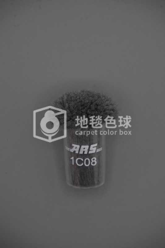 ARS 1C08