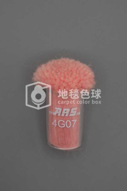 ARS 4G07