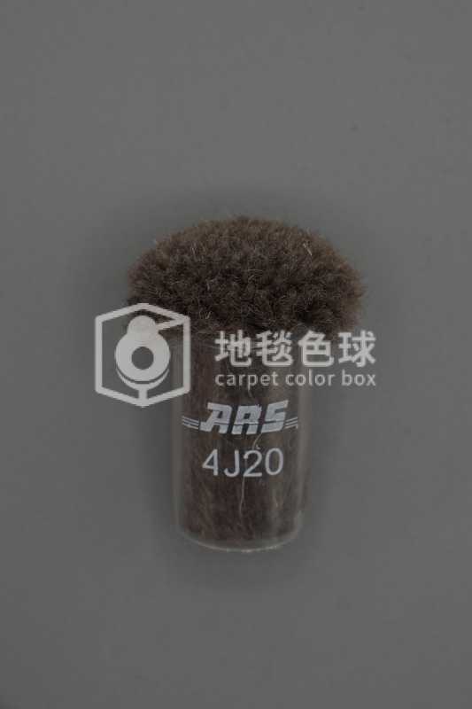 ARS 4J20