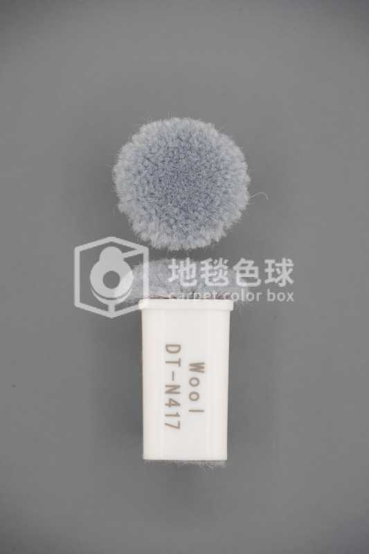 DT N417