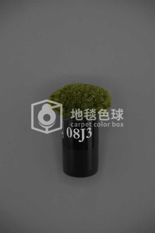 08J3