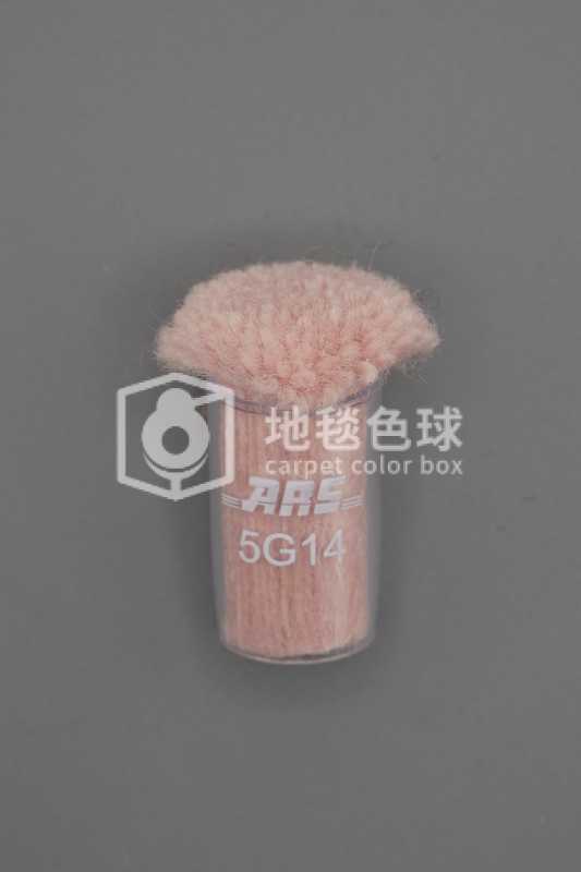 ARS 5G14