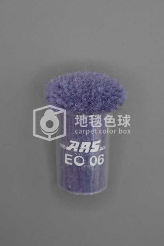 ARS EO06