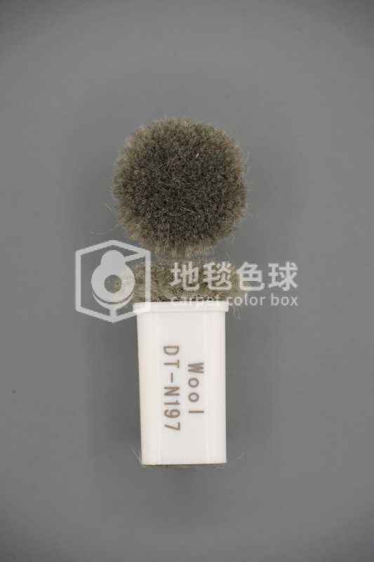 DT N197