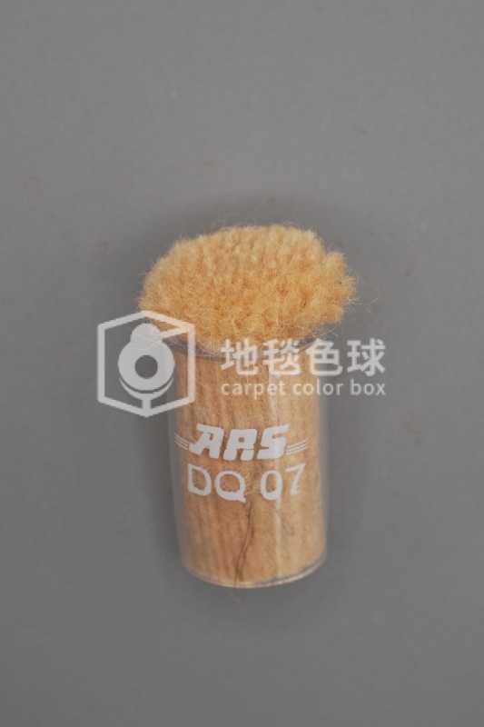 ARS DQ07