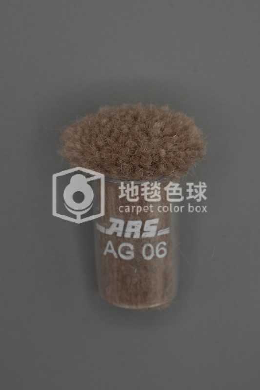 ARS AG06