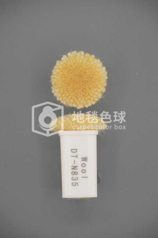 DT N835