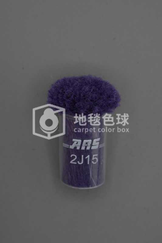 ARS 2J15
