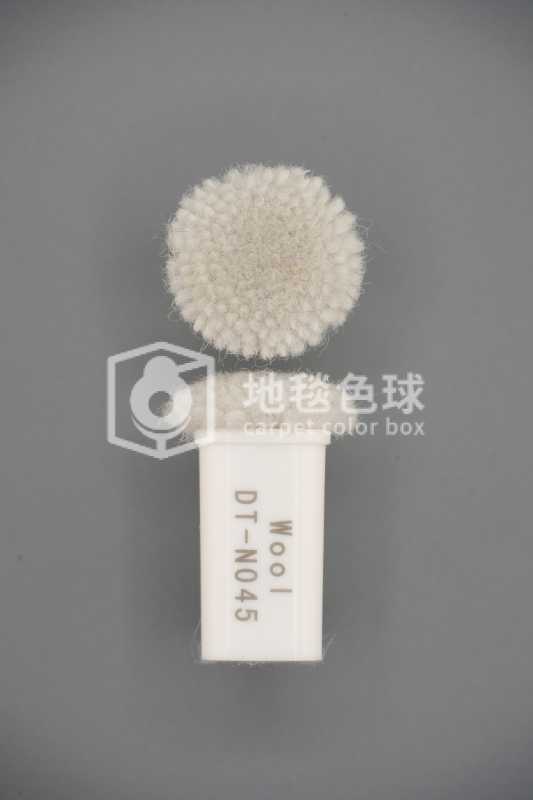 DT N045