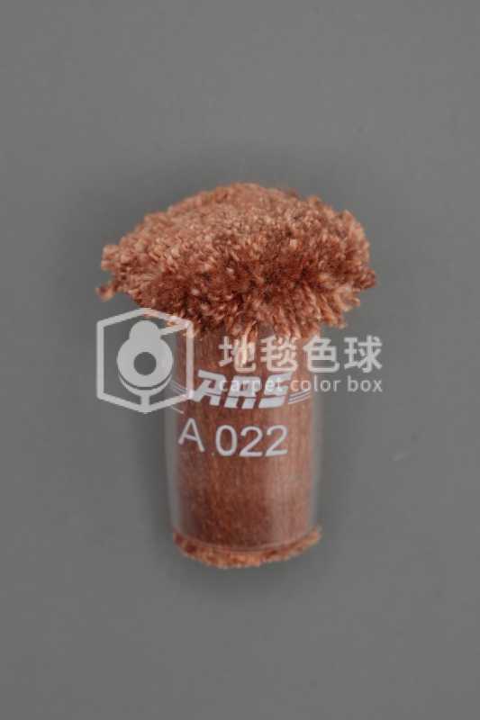 ARS A022