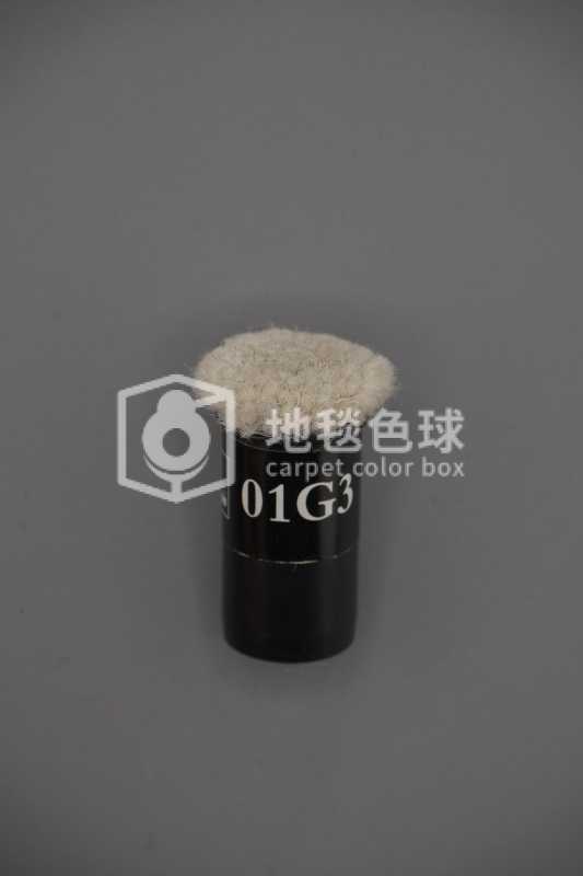 01G3