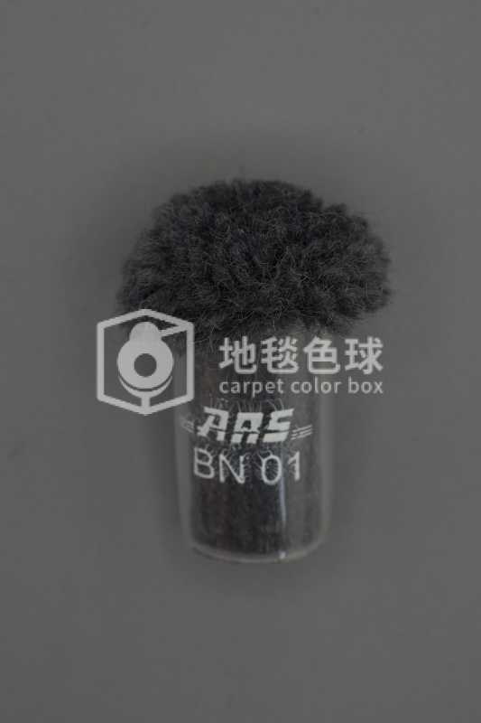 ARS BN01