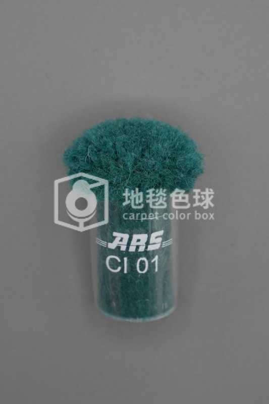 ARS CI01