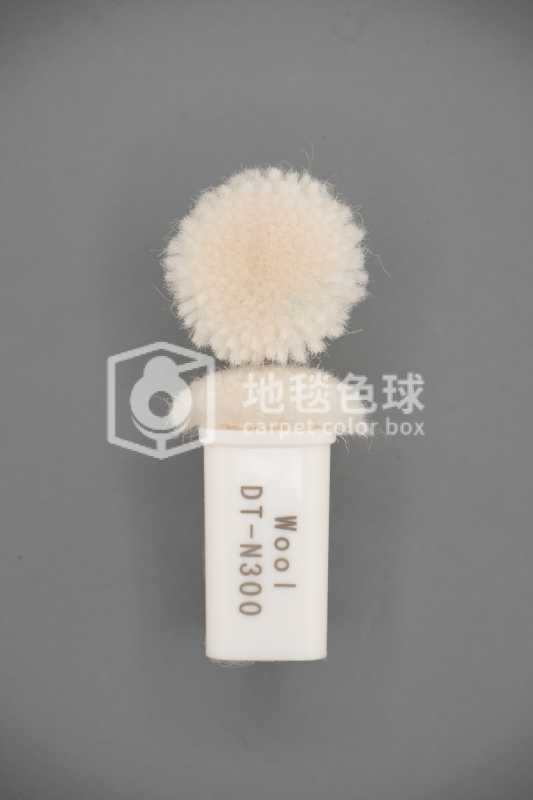 DT N300