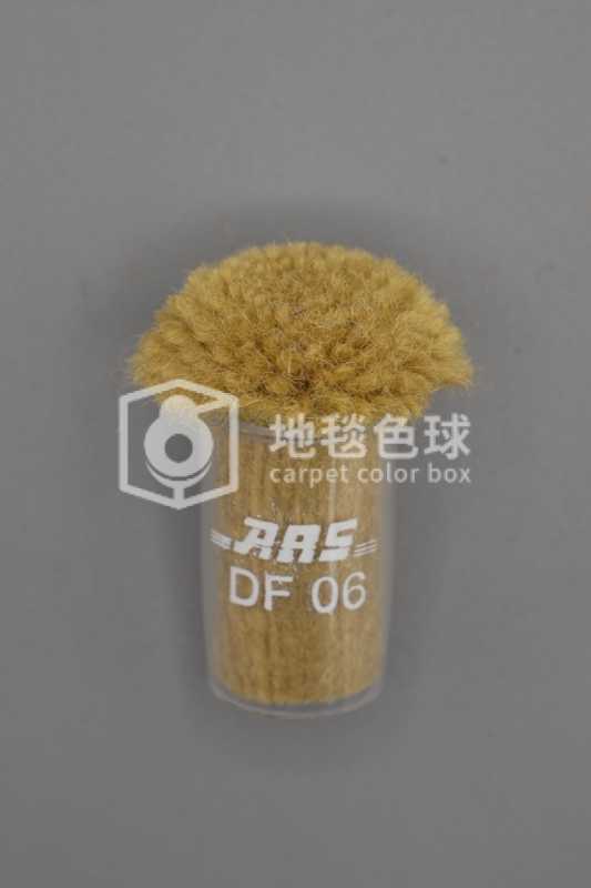 ARS DF06