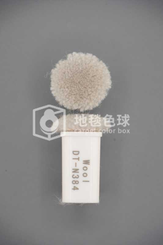DT N384