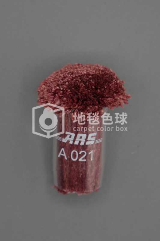 ARS A021