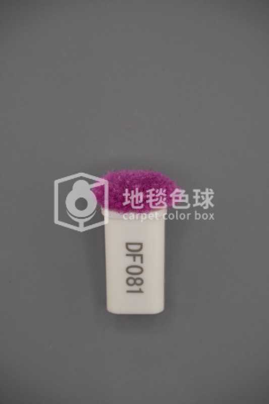 DF081