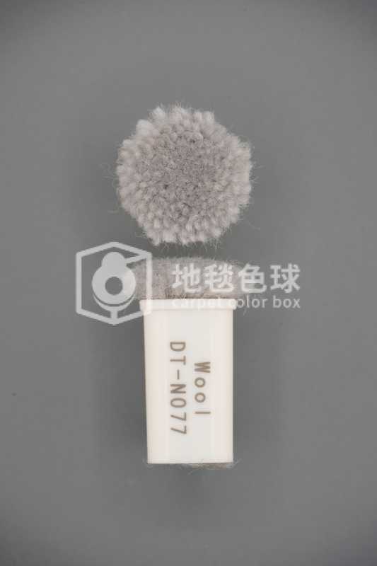 DT N077