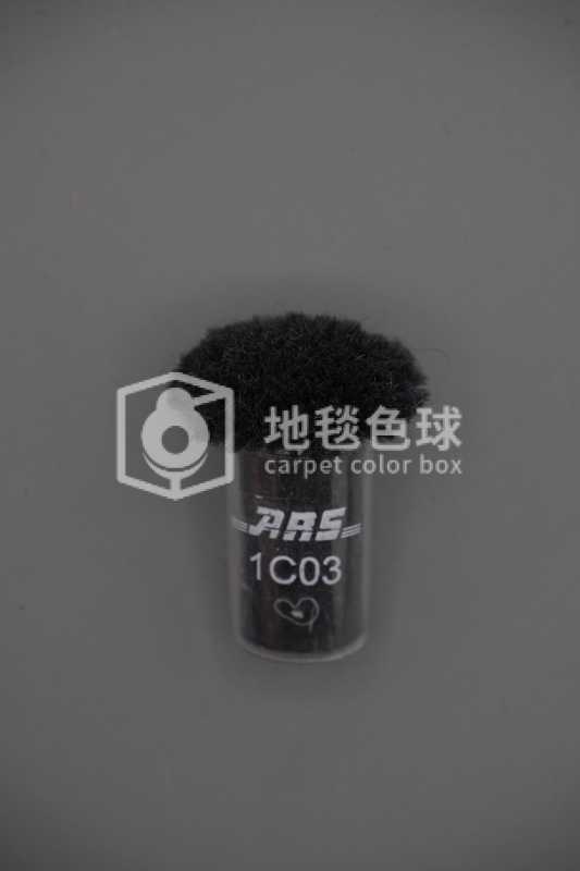 ARS 1C03