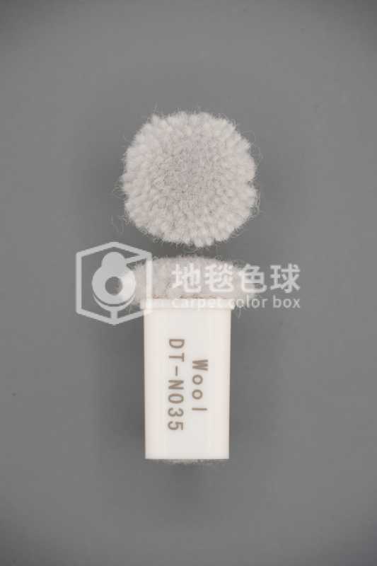 DT N035