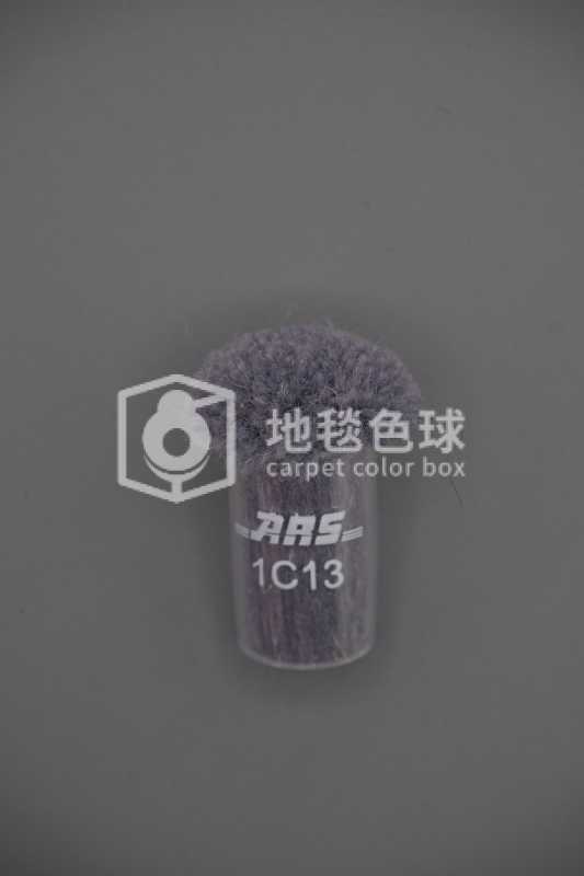 ARS 1C13