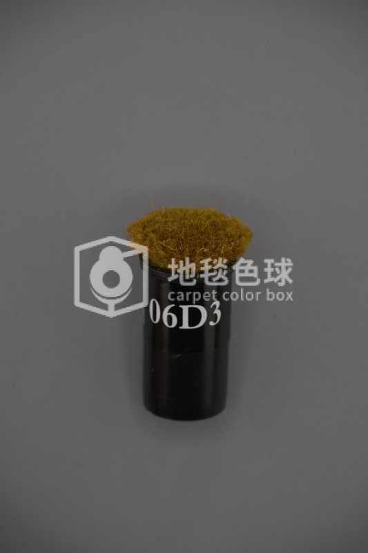 06D3