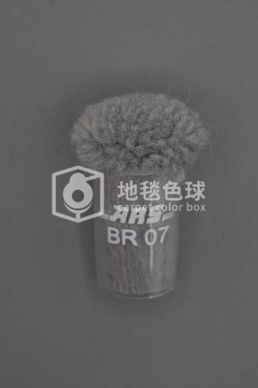 ARS BR07