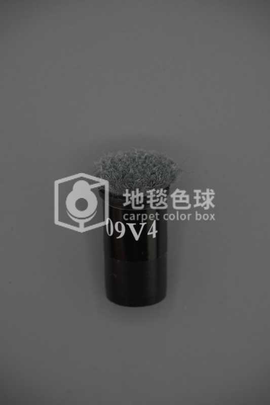09V4