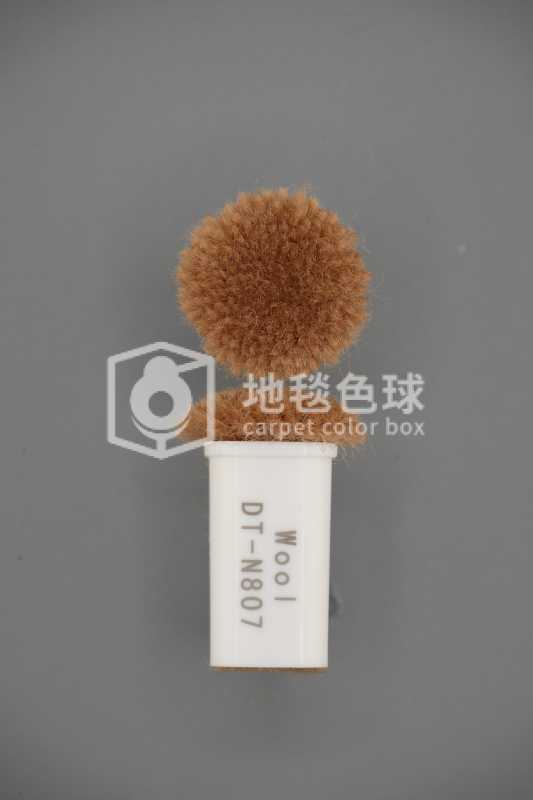 DT N807