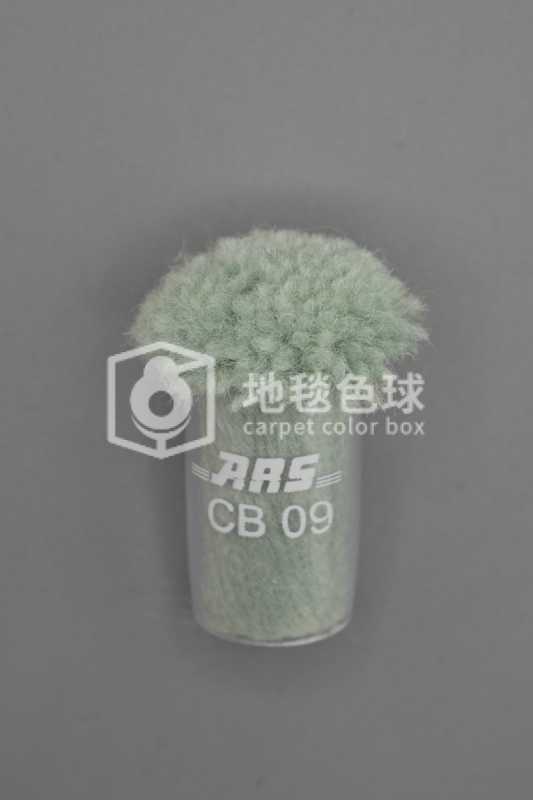 ARS CB09