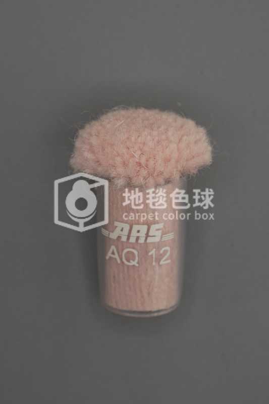 ARS AQ12