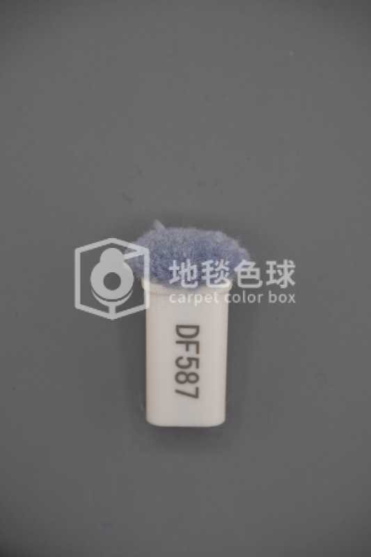 DF587
