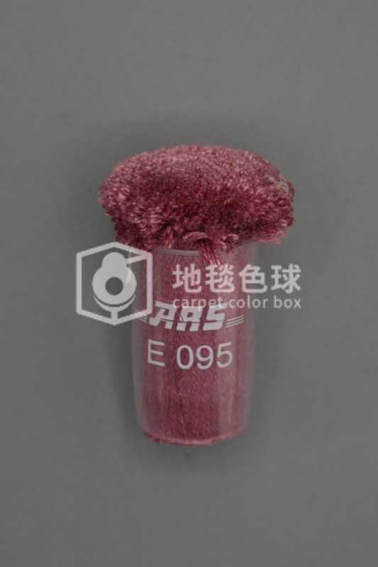 ARS E095