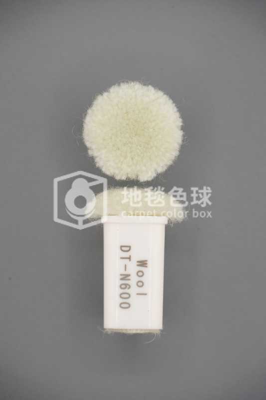 DT N600