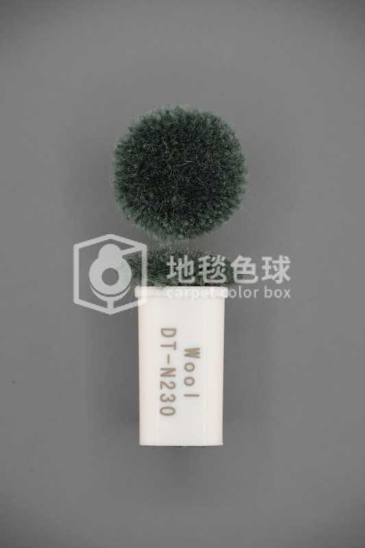 DT N230