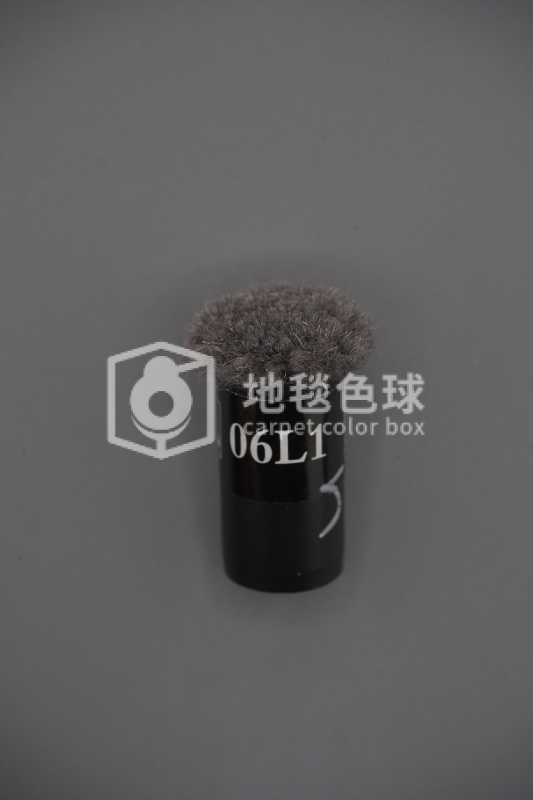 06L1