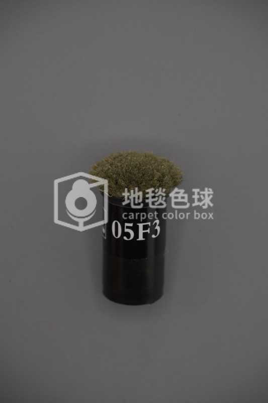 05F3
