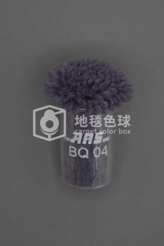 ARS BQ04