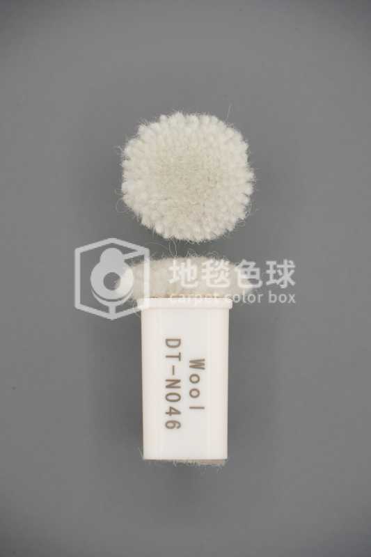 DT N046
