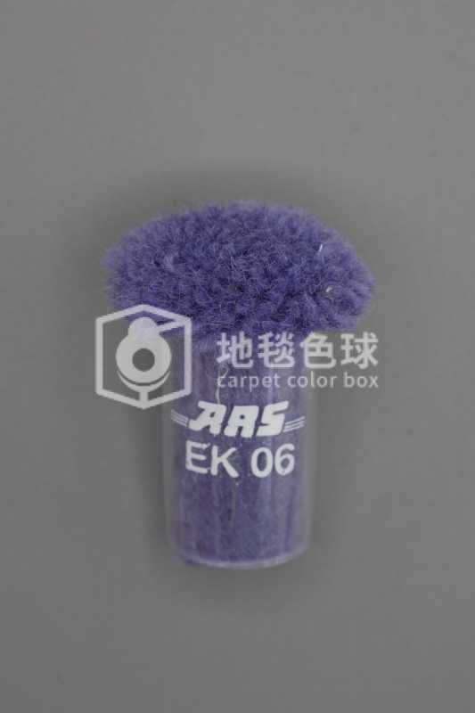 ARS EK06