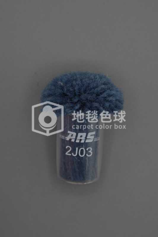 ARS 2J03