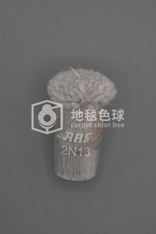 ARS 2N13