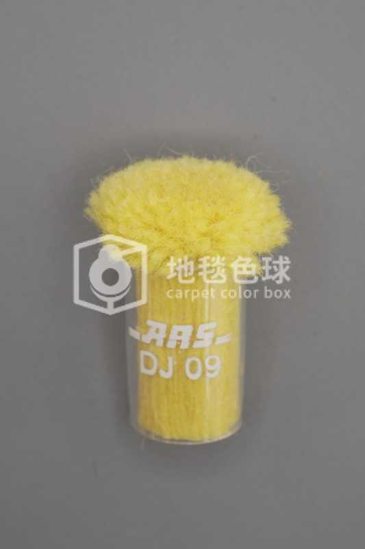 ARS DJ09