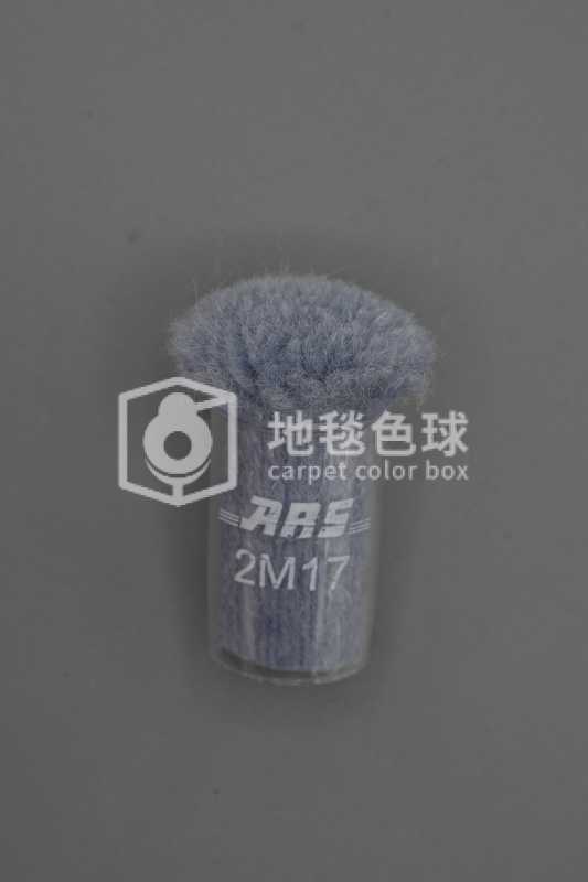 ARS 2M17
