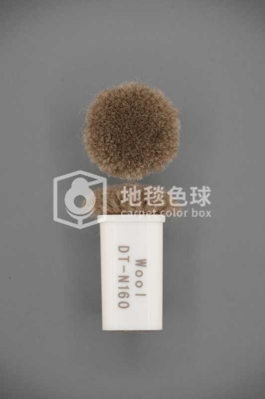 DT N160