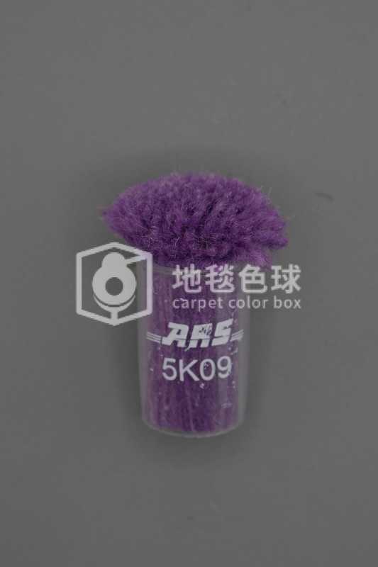 ARS 5K09