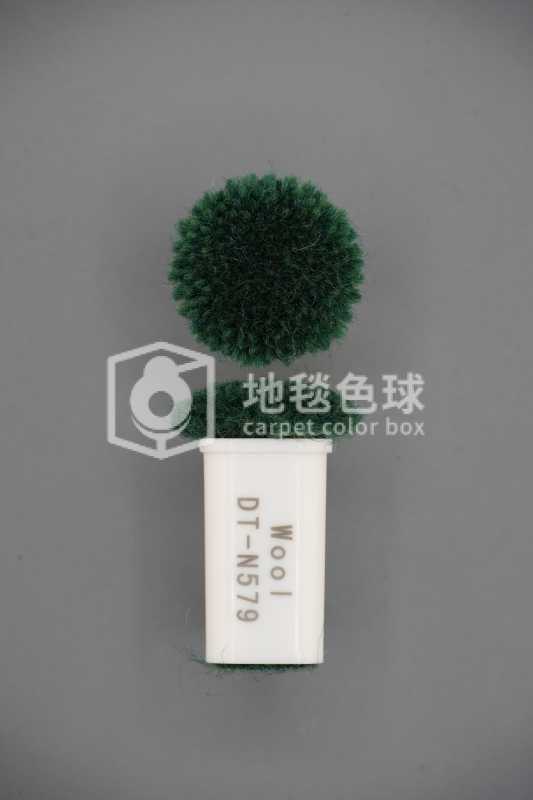 DT N579