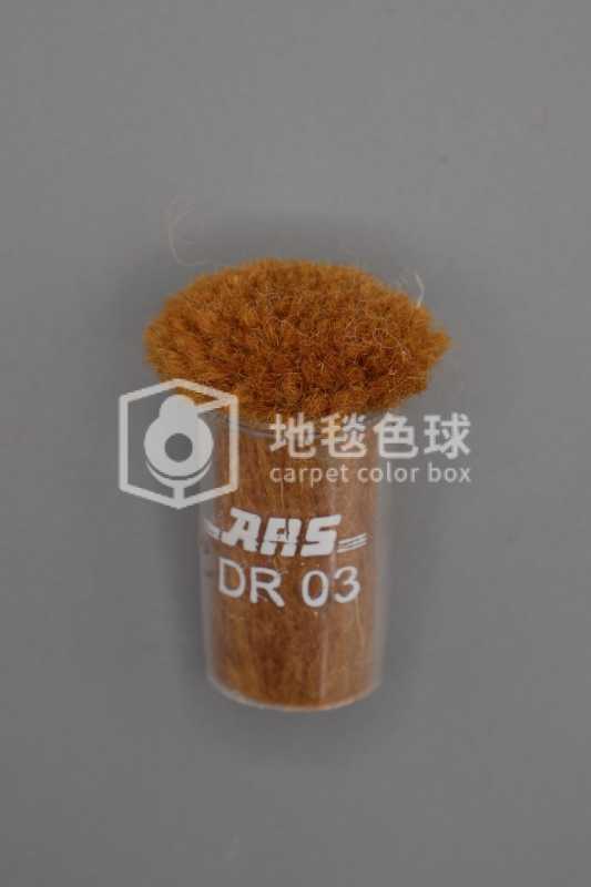 ARS DR03