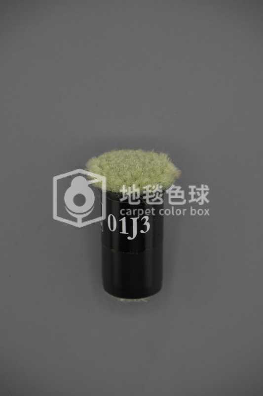01J3